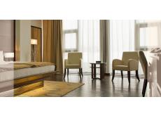 Бизнес Отель Сайен _ город Иркутск _ Deluxe